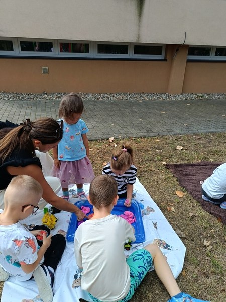 Sówki:Wrzesień 2025 - Zdjęcie 189