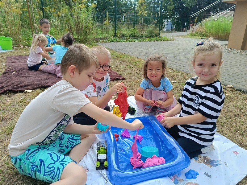 Sówki:Wrzesień 2025 - Zdjęcie 191