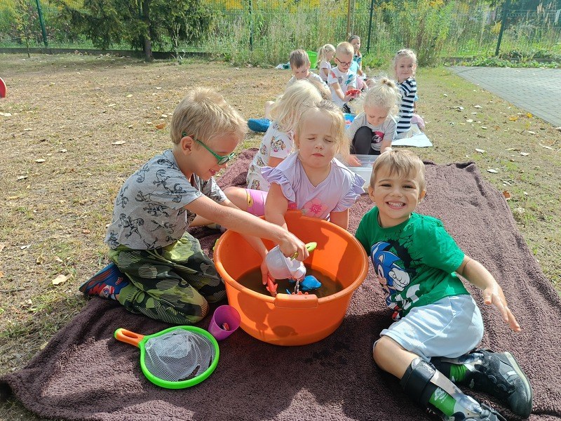 Sówki:Wrzesień 2025 - Zdjęcie 192