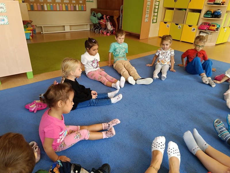 Sówki:Wrzesień 2025 - Zdjęcie 200