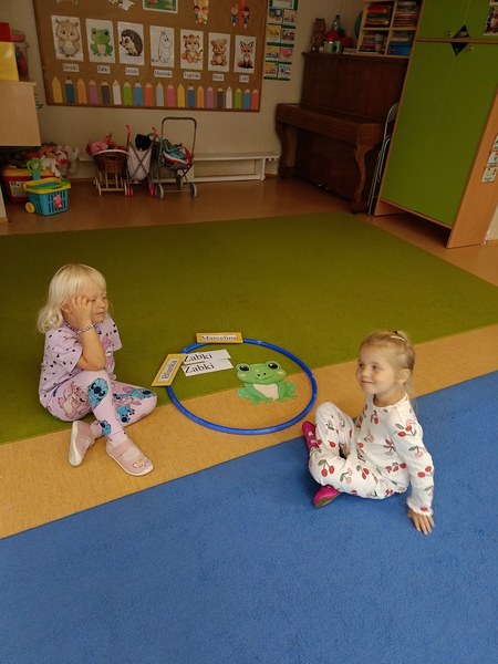 Sówki:Wrzesień 2025 - Zdjęcie 204