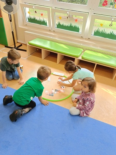 Sówki:Wrzesień 2025 - Zdjęcie 205