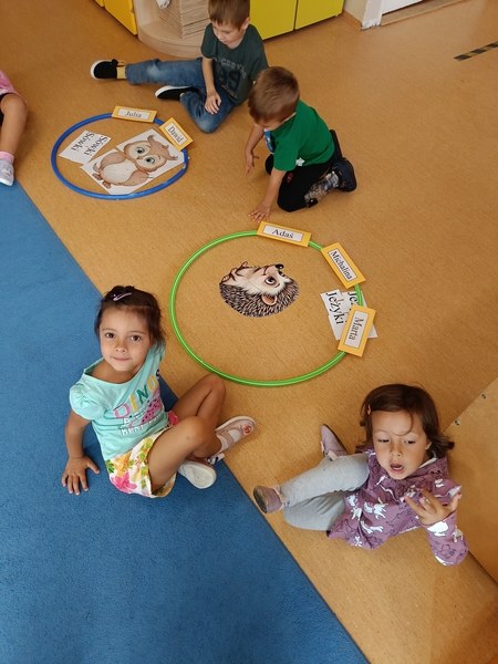 Sówki:Wrzesień 2025 - Zdjęcie 206