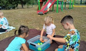 Sówki:Wrzesień 2025 - Zdjęcie 21