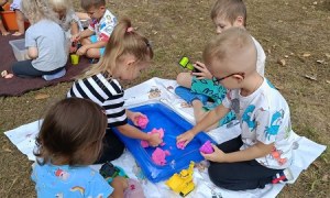 Sówki:Wrzesień 2025 - Zdjęcie 22