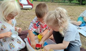 Sówki:Wrzesień 2025 - Zdjęcie 23