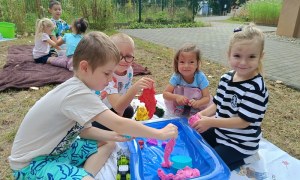 Sówki:Wrzesień 2025 - Zdjęcie 28