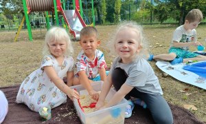 Sówki:Wrzesień 2025 - Zdjęcie 29