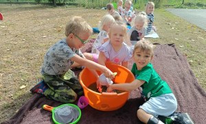 Sówki:Wrzesień 2025 - Zdjęcie 30