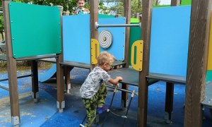 Sówki:Wrzesień 2025 - Zdjęcie 36