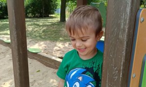 Sówki:Wrzesień 2025 - Zdjęcie 39