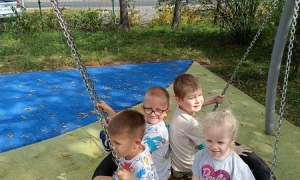 Sówki:Wrzesień 2025 - Zdjęcie 44