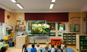 Sówki:Wrzesień 2025 - Zdjęcie 63