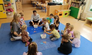 Sówki:Wrzesień 2025 - Zdjęcie 105