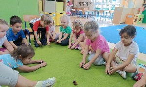 Sówki:Wrzesień 2025 - Zdjęcie 113