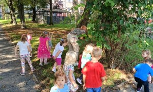 Sówki:Wrzesień 2025 - Zdjęcie 114