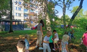 Sówki:Wrzesień 2025 - Zdjęcie 115