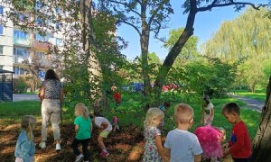 Sówki:Wrzesień 2025 - Zdjęcie 116