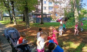 Sówki:Wrzesień 2025 - Zdjęcie 117