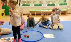 Sówki:Wrzesień 2025 - Zdjęcie 142