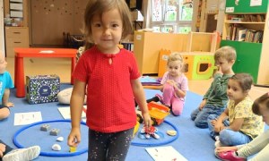 Sówki:Wrzesień 2025 - Zdjęcie 148