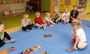 Sówki:Wrzesień 2025 - Zdjęcie 157