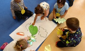 Sówki:Wrzesień 2025 - Zdjęcie 161