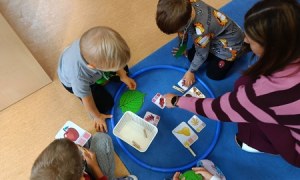 Sówki:Wrzesień 2025 - Zdjęcie 164