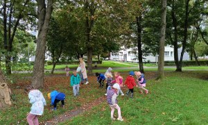 Sówki:Wrzesień 2025 - Zdjęcie 165