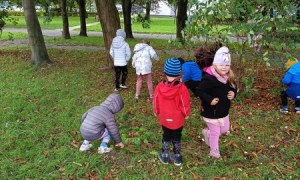 Sówki:Wrzesień 2025 - Zdjęcie 168