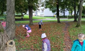 Sówki:Wrzesień 2025 - Zdjęcie 169