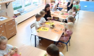 Sówki:Wrzesień 2025 - Zdjęcie 173