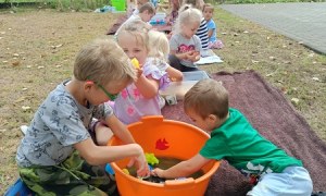 Sówki:Wrzesień 2025 - Zdjęcie 186