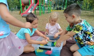 Sówki:Wrzesień 2025 - Zdjęcie 188