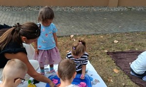 Sówki:Wrzesień 2025 - Zdjęcie 189