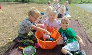 Sówki:Wrzesień 2025 - Zdjęcie 192