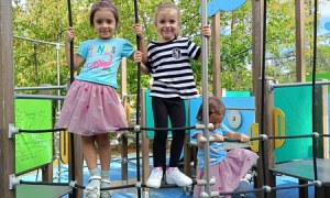 Sówki:Wrzesień 2025 - Zdjęcie 194