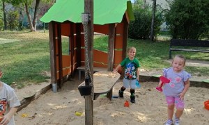 Sówki:Wrzesień 2025 - Zdjęcie 196