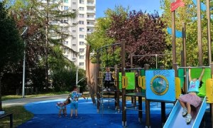 Sówki:Wrzesień 2025 - Zdjęcie 198