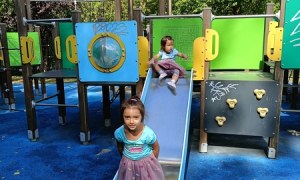 Sówki:Wrzesień 2025 - Zdjęcie 199