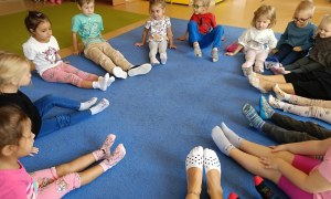 Sówki:Wrzesień 2025 - Zdjęcie 201