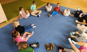 Sówki:Wrzesień 2025 - Zdjęcie 202