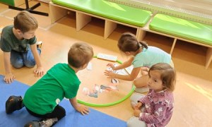 Sówki:Wrzesień 2025 - Zdjęcie 205