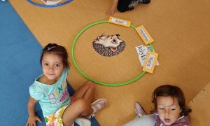 Sówki:Wrzesień 2025 - Zdjęcie 206