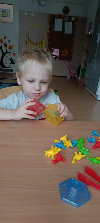 Jeżyki: Wrzesień 2025 - Zdjęcie 4