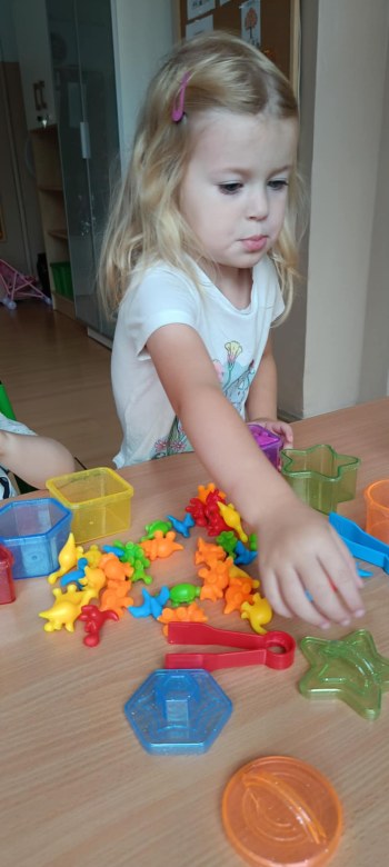 Jeżyki: Wrzesień 2025 - Zdjęcie 27