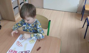 Jeżyki: Wrzesień 2025 - Zdjęcie 3