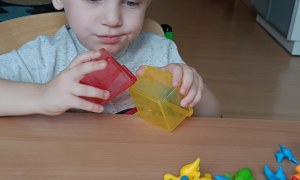 Jeżyki: Wrzesień 2025 - Zdjęcie 4