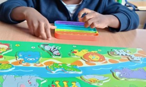 Jeżyki: Wrzesień 2025 - Zdjęcie 10