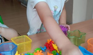 Jeżyki: Wrzesień 2025 - Zdjęcie 27